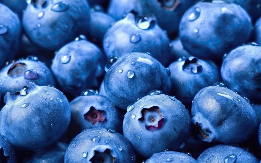 The Powerful Health Benefits of Blueberries