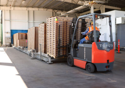 Main Street Produe Cooler where a forklift is moving strawberry boxes.